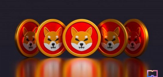 Shiba Inu: From Meme Coin to DeFi Powerhouse