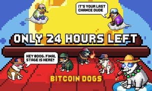 Bitcoin Dogs recapta més d'11.5 milions de dòlars i entra a les últimes 24 hores