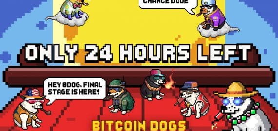 Bitcoin Dogs Raises Over $11.5 Million and Enters Final 24 Hours