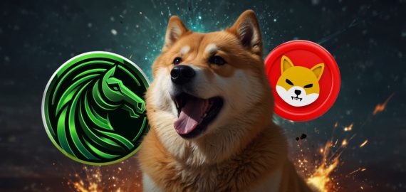 DOGE Surges, Render’s Big Move, And Many Turn Towards DIGI With 100X Potential