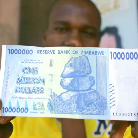 The Future of Cryptocurrency in Zimbabwe: A Look at the Gold-Backed Tokens