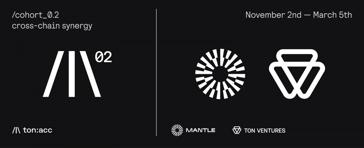 TON Core’s Accelerator upgrade boosted network capacity above 100,000 TPS, but the milestone has yet to reflect in price performance.