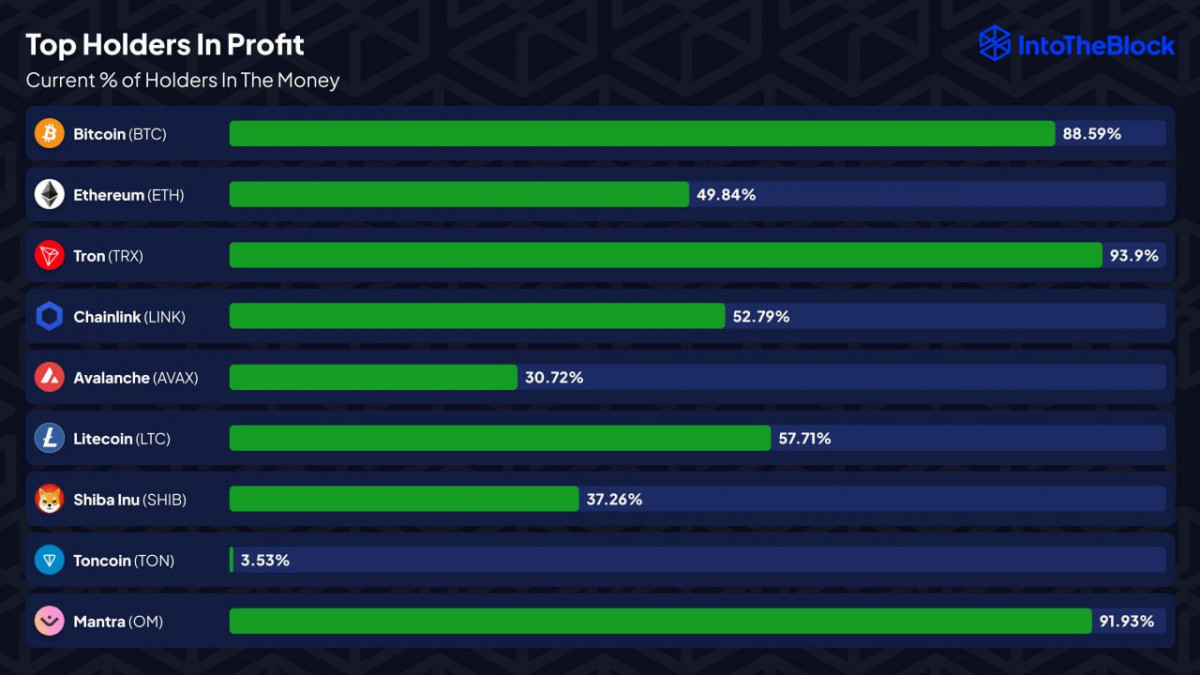 Only 3.5% of TON holders are currently in profit, making it one of the most underwater major blockchains amid ongoing market pressure.