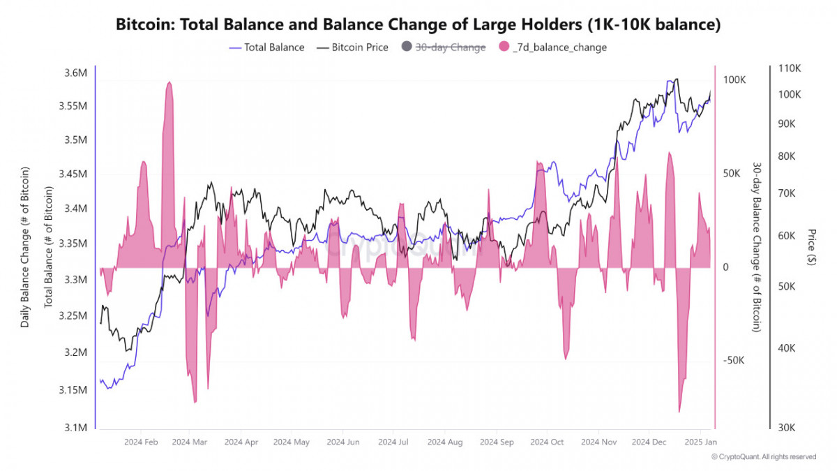 Whales and institutions resuming Bitcoin accumulation signal long-term confidence despite recent price dips.