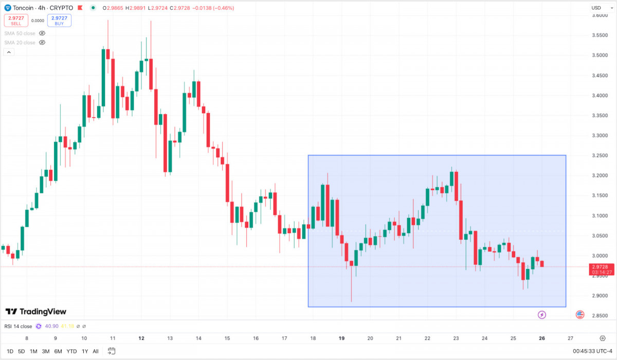 Toncoin jumps from $2.85 to $3.25 before fading, with short-term RSI momentum suggesting traders remain cautious.