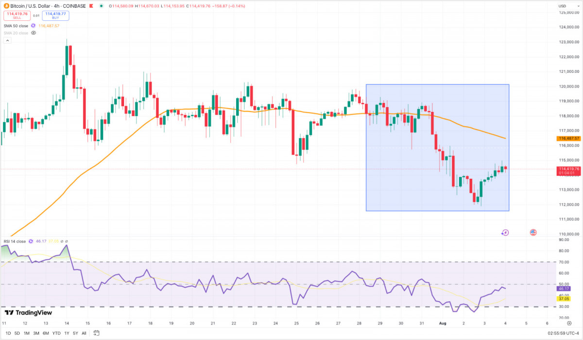 Bitcoin plunged from $119K to $111K midweek before staging a slow recovery toward $114K.
