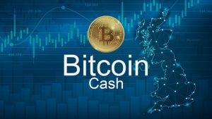 Kaip nusipirkti „Bitcoin Cash“: pradedantiesiems skirtas BCH pirkimo vadovas (2023)