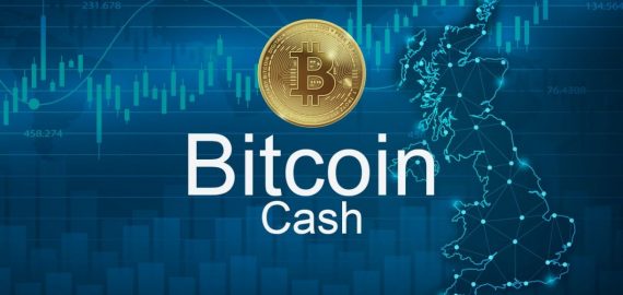 How to buy Bitcoin Cash: A beginner’s guide for buying BCH (2023)