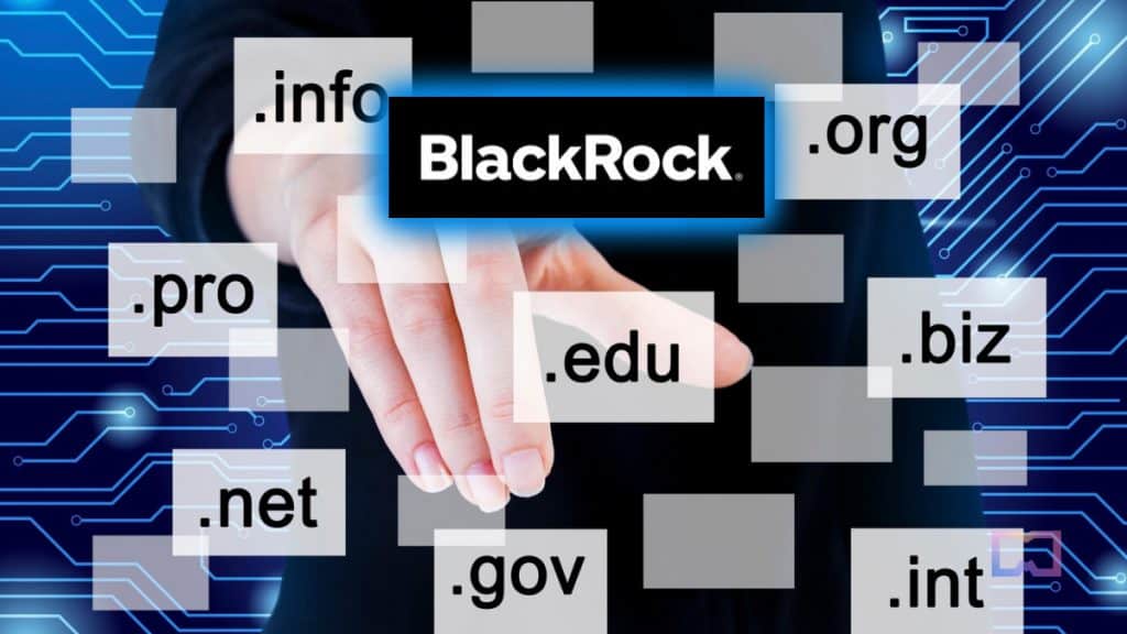 BlackRock Takes Legal Action Against Scammy Domains and Typosquatting Websites
