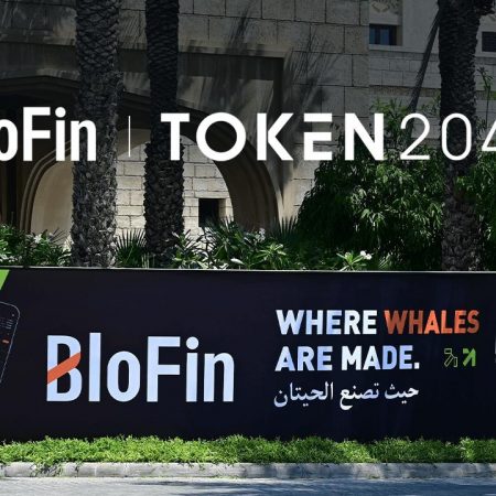 BloFin patrocina TOKEN2049 Dubai e comemora evento paralelo: WhalesNight AfterParty 2024