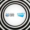Cool Cats receives a strategic investment from Animoca Brands