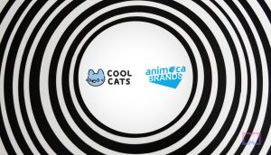 „Cool Cats“ gauna strateginę investiciją iš „Animoca Brands“.