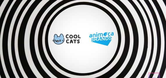 Cool Cats receives a strategic investment from Animoca Brands