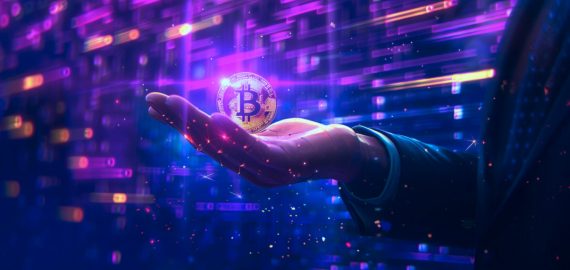 CryptoQuant: investors have accumulated a record amount of bitcoins