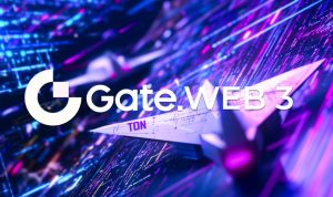 Gate Web3 TonVibe2024 Ecosystem Season: Over 1.61M New Users, 450,000 Addresses, And 600,000 Devices Added