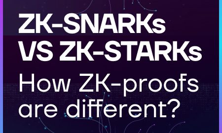 ZK-SNARKs vs ZK-STARKs: How Do ZK-Proofs Differ?