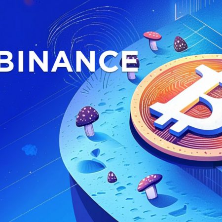 Binance Celebrates 15th Anniversary Of Bitcoin Pizza Day With $5M BTC Giveaway