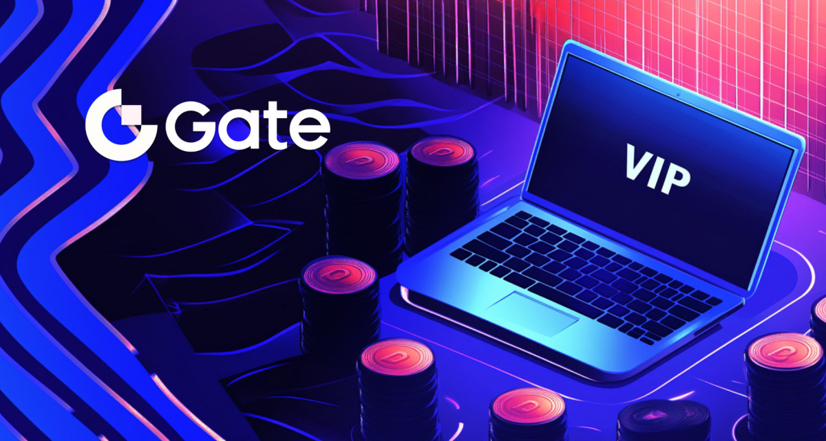 Gate VIP Announces Major Upgrade To Build A Comprehensive Premium User Service Network