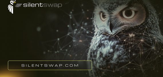 Balancing Transparency and Protection: Rethinking Trust in Web3’s Public Ledger