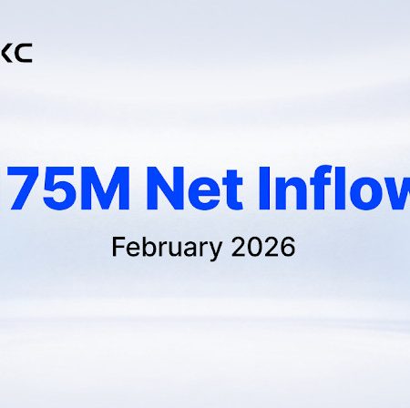 MEXC Records $175M Net Inflows in February, Ranking 4th Among Global CEXs