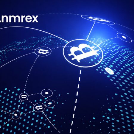 Globalni institucionalni val ubrzava, Anmrex Exchange objavljuje međunarodni strateški plan za sljedeće tri godine