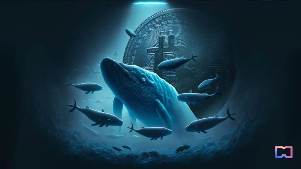 Crypto Whales are Rapidly Selling Ethereum, Bitcoin and Other Assets