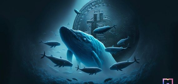 Crypto Whales are Rapidly Selling ETH, BTC and Other Assets