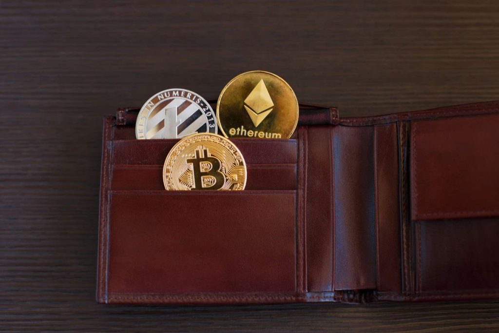 Multi-coin Wallet