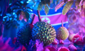 Durian avalikustas: Kimsuky krüptovaluuta küberarsenali ja selle mõju Lõuna-Korea krüptoettevõtetele põhjalik analüüs