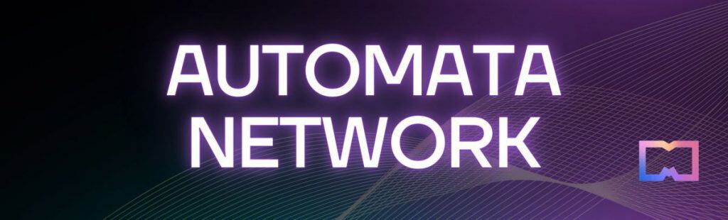Automata Network