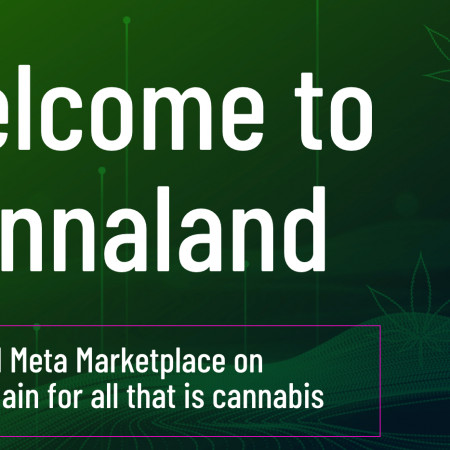 Cannaverse Technologies to debut Web3 weed community later this year