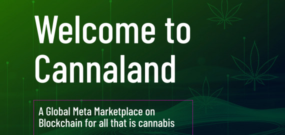 Cannaverse Technologies to debut Web3 weed community later this year