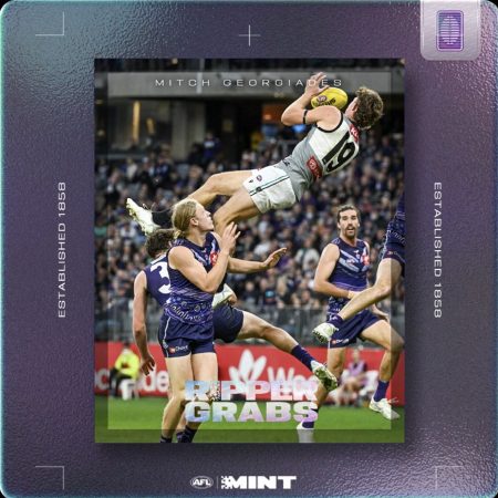 AFL Mint drops the “Ripper Grabs” Series 1 NFT collection