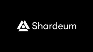 Blockchain Security and Privacy: Shardeum’s Unique Approach