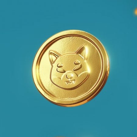 Shiba Inu burn rate tops 250% with new exchange announcements