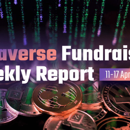 Metaverse Fundraising Weekly Report #2