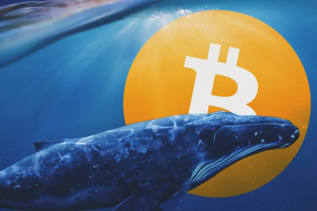 La ballena criptográfica "Bruja Escarlata" compra $600 millones en tokens