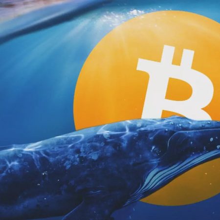 Crypto whale “Scarlet Witch” purchases $600 million worth of tokens