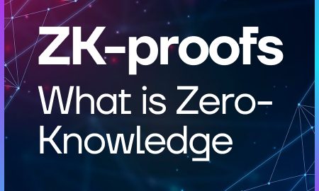 ZK-Proofs: What Is Zero Knowledge?