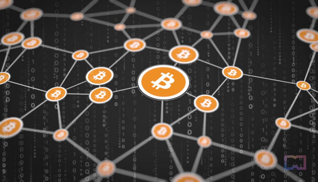 Role of Nodes in Cryptocurrency Networks: A Beginner's Guide