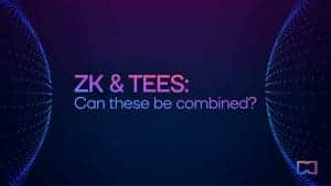 ZKPs & TEEs: Can These Be Combined?