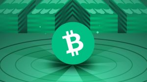 What is Bitcoin Cash, and how does BCH work? A beginner’s guide (2023)