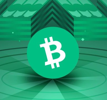 What is Bitcoin Cash, and how does BCH work? A beginner’s guide