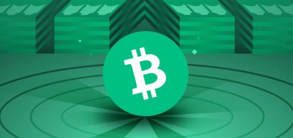 What is Bitcoin Cash, and how does BCH work? A beginner’s guide (2023)