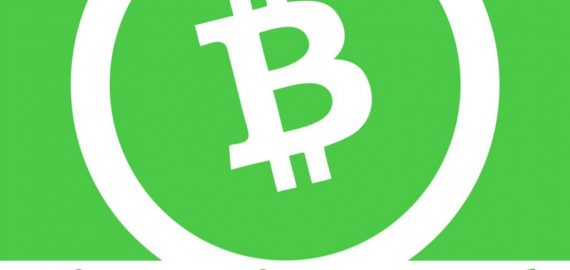 How to mine Bitcoin Cash: A beginners guide to mining BCH (2023)