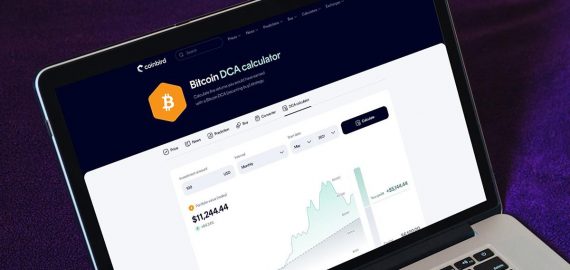 $100/Month in Bitcoin Since 2015 Would Have Turned $13,700 Into $632,000, Coinbird Analysis Shows