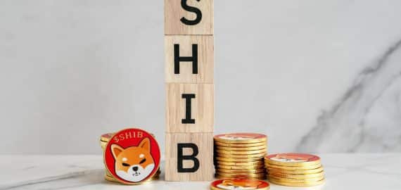 Crypto Weekly Recap: Shiba Inu’s Surging Burn Rate & InQubeta Presale Triumph