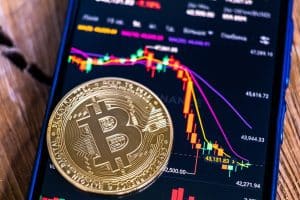 Hodlers Control 80% of Bitcoin Supply; Monero and Borroe Finance Show Signs of Breakout