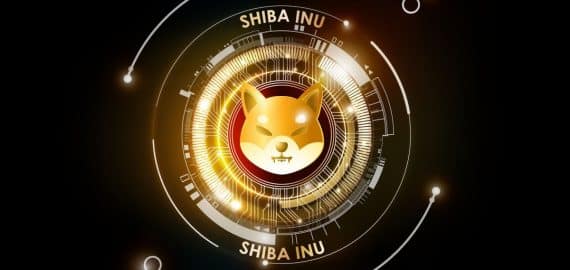 Investors Embrace Shiba Inu & Borroe Finance as a Promising Cryptocurrencies