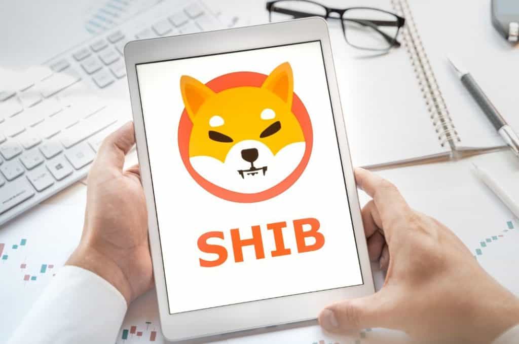 As Shiba Inu (SHIB) Hype Falters, DigiToads (TOADS) Unleashes Its Potential as a Meme Token With The best Utility, Garnering Early Investors' Attention